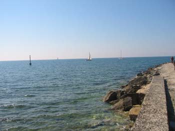 IMG_1156