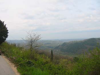 IMG_1204
