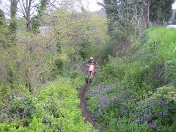 IMG_1205