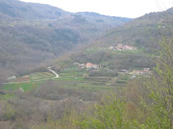 IMG_1262
