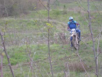 IMG_1264