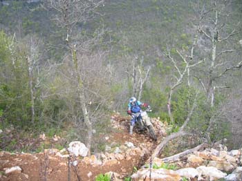 IMG_1275