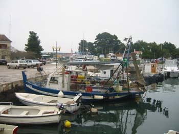 IMG_1319
