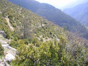 SANY2347