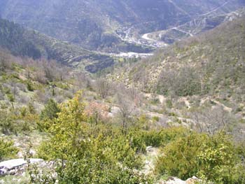 SANY2348