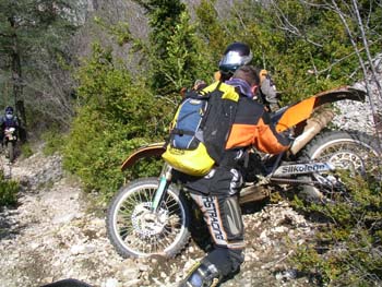 SANY2356