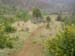 SANY2390