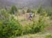 SANY2391