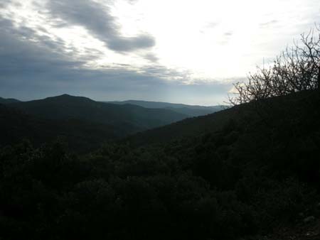 DSCN0384