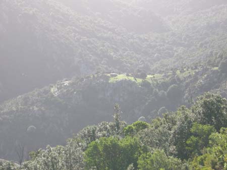 DSCN0454