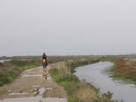 PICT0867