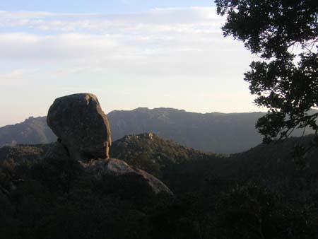 PICT0950