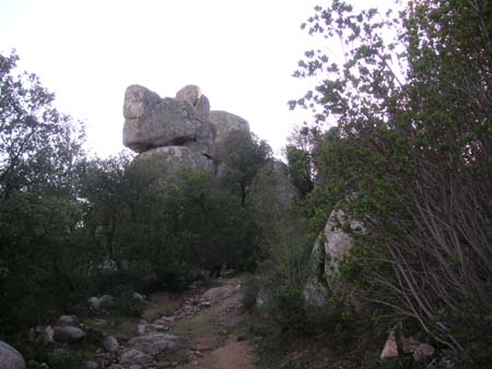 PICT0952