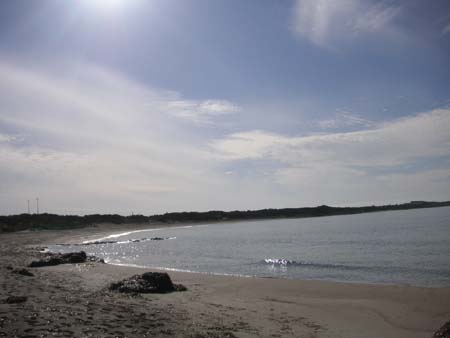 PICT0988