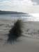 DSCN0418