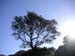 PICT0714